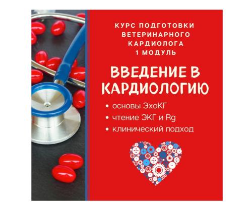 Курс подготовки врача-кардиолога. Модуль 1
