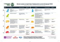 Шкала оценки острой боли CSU