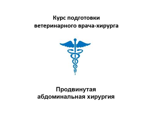 Хирургия мочевыделительной системы