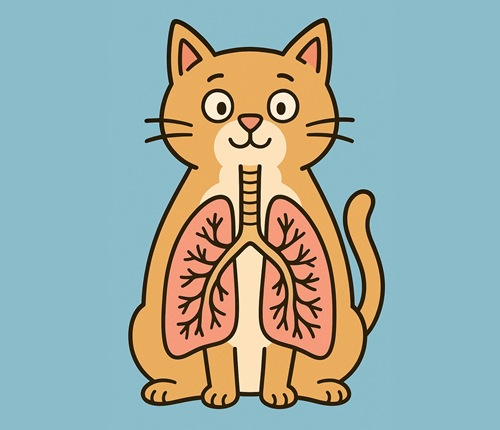 Онлайн курс «Пульмонология для всех»