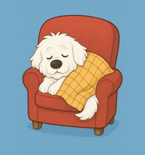 Конференция «Коморбидные онкопациенты»