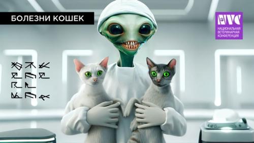 NVC 2023. Секция Болезни кошек. 1 день NVC 2023. Секция Болезни кошек. 1 день