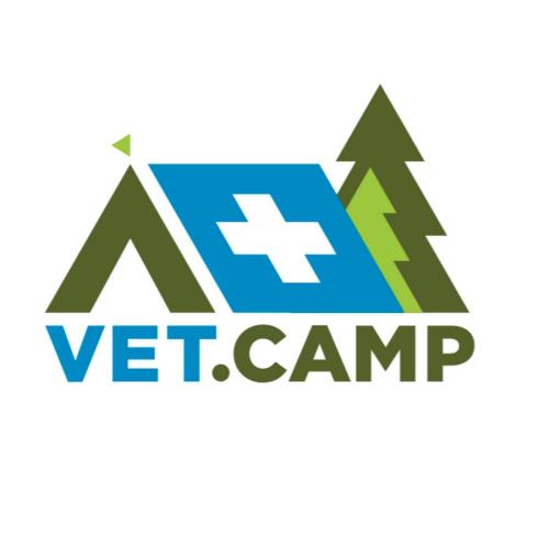 Секция «Острый живот» VetCamp 2020