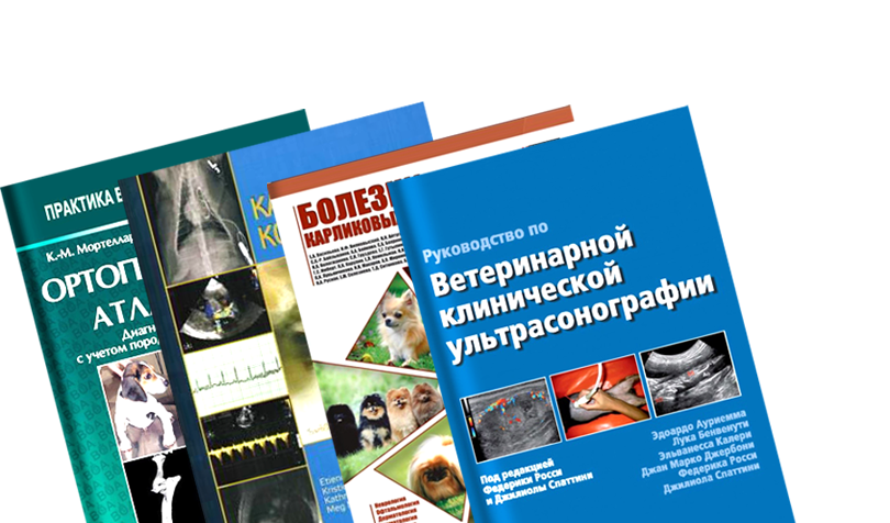 Новые книги