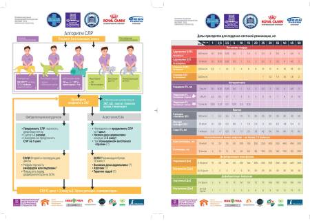 Плакаты "Дозы препаратов для сердечно-лёгочной реанимации" и "Алгоритмы СЛР"