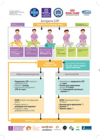 Плакаты "Дозы препаратов для сердечно-лёгочной реанимации" и "Алгоритмы СЛР"
