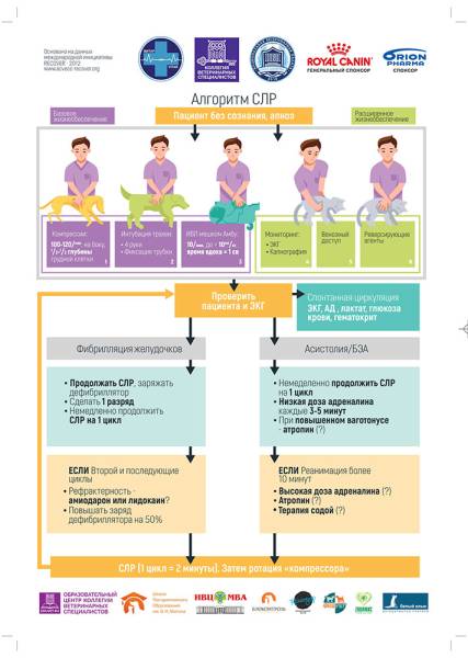 Плакаты "Дозы препаратов для сердечно-лёгочной реанимации" и "Алгоритмы СЛР"