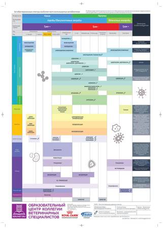 Антибактериальные спектры наиболее часто используемых антибиотиков