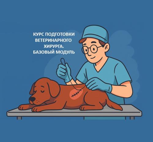 Курс подготовки ветеринарного хирурга. Базовый модуль